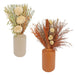 Two matte ceramic vases with dried botanical arrangements on a white background. The left vase is a light warm gray and holds beige and green dried stems with round cream flowers.