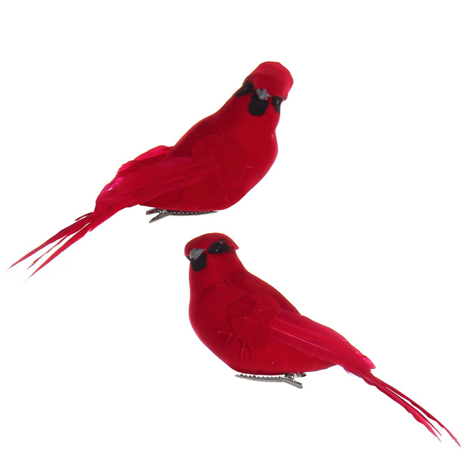 FOAM/FEATHER CARDINAL ON CLIP ASSORTED 15.25CM