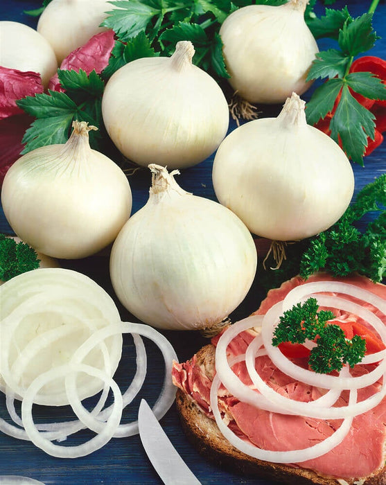 ONION SEEDS WHITE SWEET SPANISH