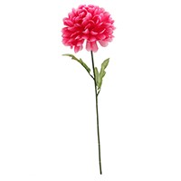 BALL MUM STEM PINK 68CM