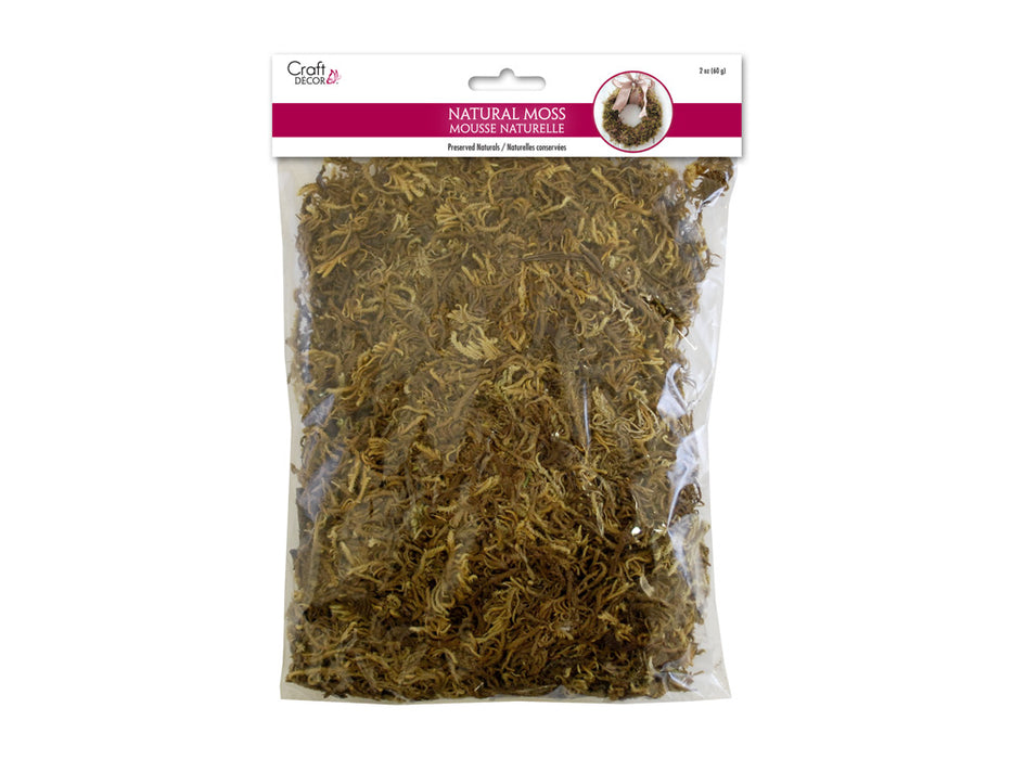 CRAFT DECOR DRIED NATURALS: 2OZ NATURAL INDIAN MOSS (60GMS)