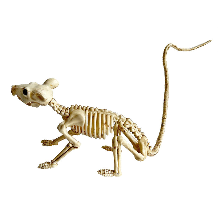 A small animal skeleton model, shaped like a mouse or rat, shown in a side profile against a plain white background.