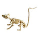 A small animal skeleton model, shaped like a mouse or rat, shown in a side profile against a plain white background.