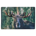 Plastic placemat with a lifelike moose in a forest design, 17.32 × 11.22 × 0.059 inches.
