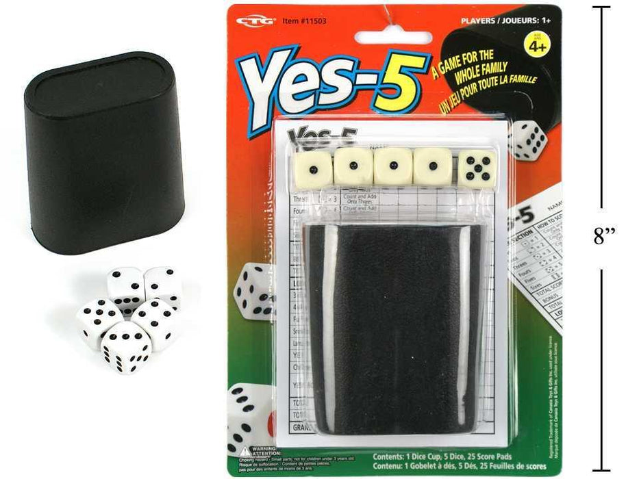 YES - 5 DICE GAME SET