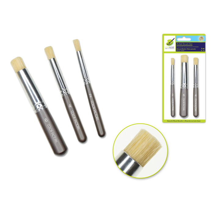Set of three round stubby bristle brushes with smooth brown wood handles in sizes 2, 4, and 6, shown loose and in retail packaging.