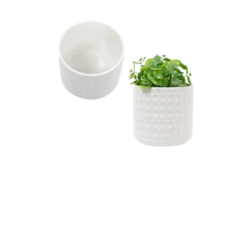 IMRINT WHITE CERAMIC PLANTER