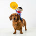 A brown dachshund stands on a white studio background wearing a tan cowboy saddle and matching bandana, while a small cowboy doll sits on its back holding a yellow hat above its head.