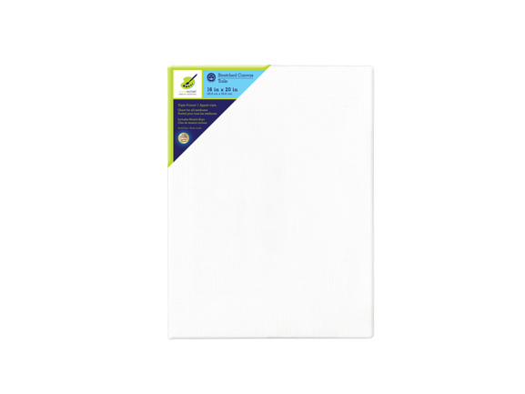 STRETCH ARTIST CANVAS: RECT. 16IN X 20IN PRIMED BACK-STAPLED
