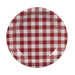 Red and white checkered paper plate on a white background