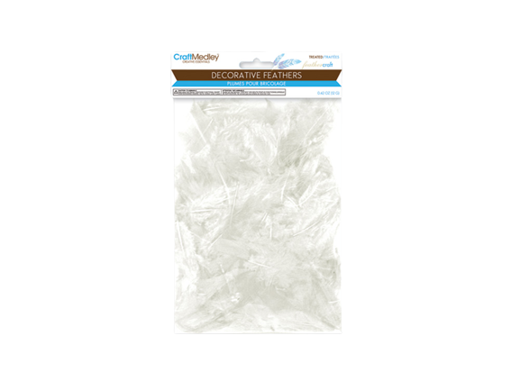 FEATHER CRAFT: 12G CRAFT FEATHERS 2IN - 3.5IN H) WHITE