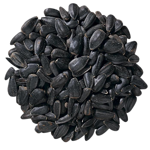 BLACK SUNFLOWER BIRD SEED 450G