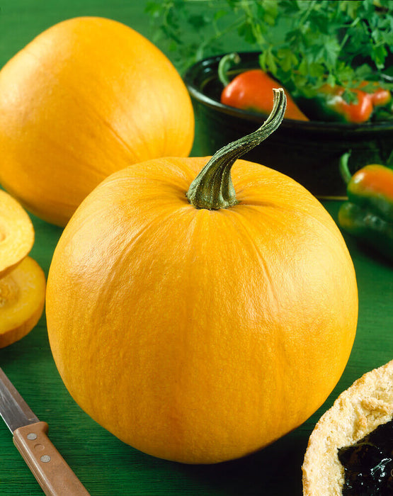 PUMPKIN SEEDS SMALL SUGAR