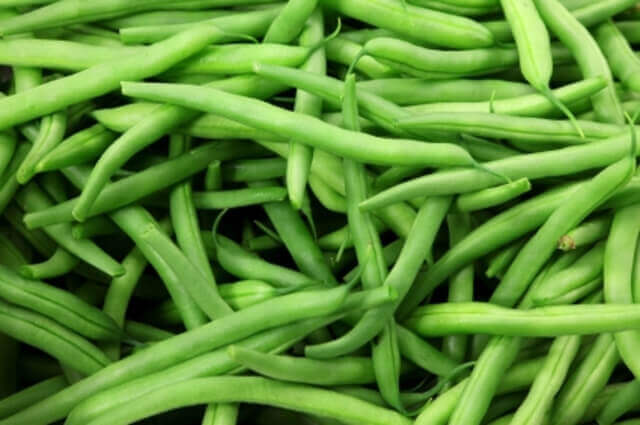 POLE BEAN SEEDS KENTUCKY WONDER GREEN