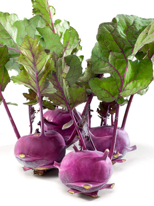KOHL RABI SEEDS PURPLE VIENNA