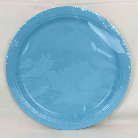 9IN PAPER PLATES, 8PK