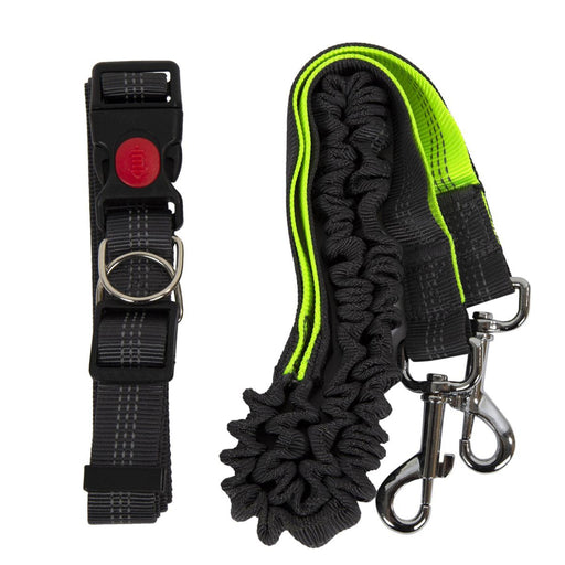 Dog leash and collar set with black and green accents on a white background