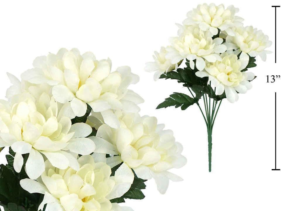 CHRYSANTHEMUMS - CREAM