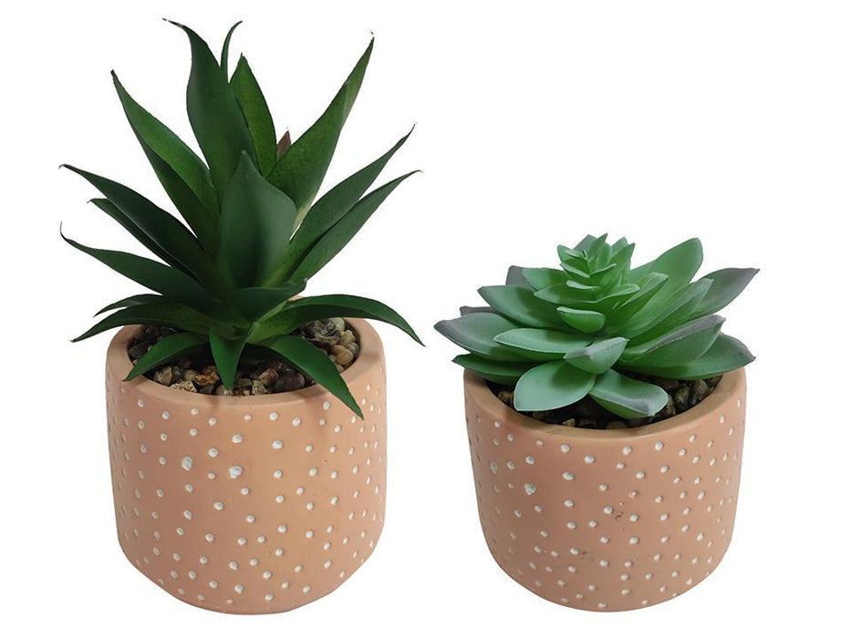 SUCCULENT 4IN CEMENT POT