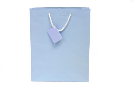 MATTE FINISH SOLID COLOR GIFT BAGS