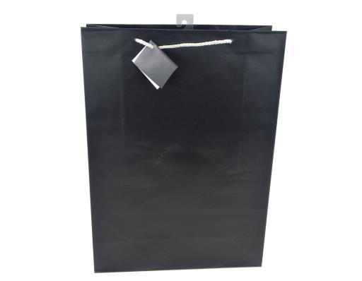 MATTE FINISH SOLID COLOR GIFT BAGS